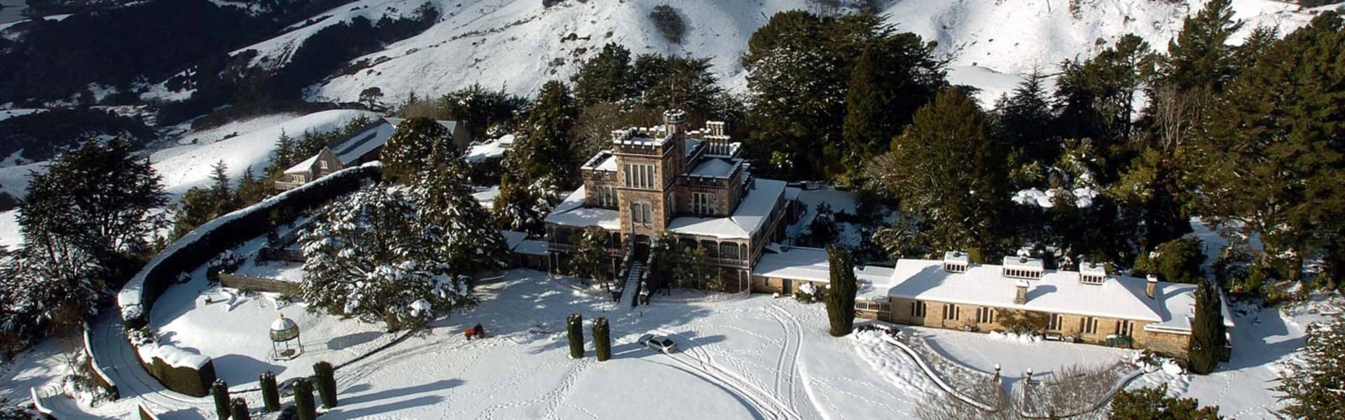 Larnach Castle and Garden Ticket - image 3